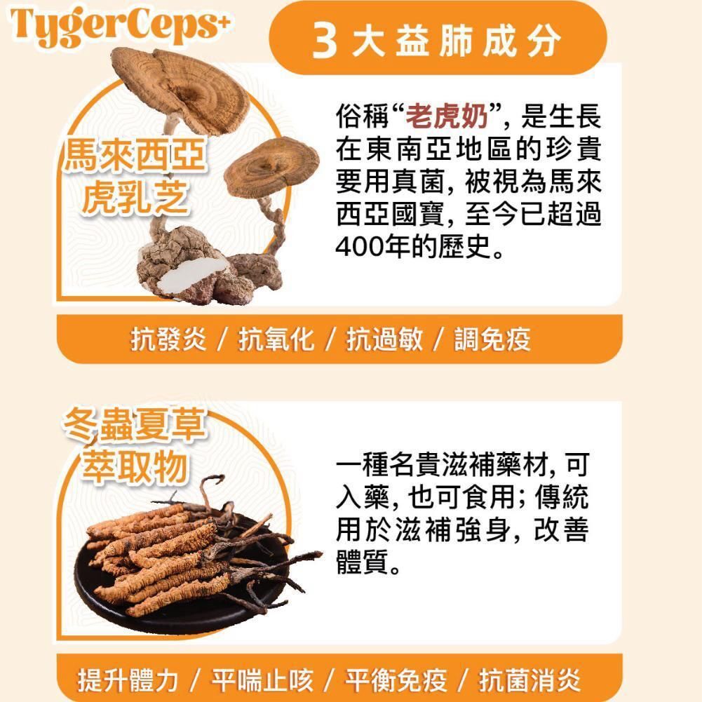 TygerCeps+ - 虎乳芝益肺寶 20ml X 20包裝