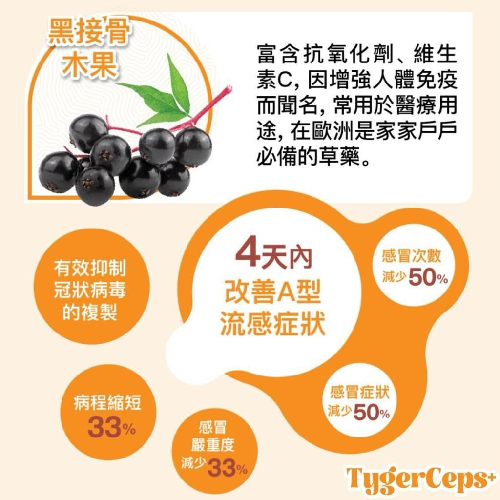 TygerCeps+ - 虎乳芝益肺寶 20ml X 20包裝