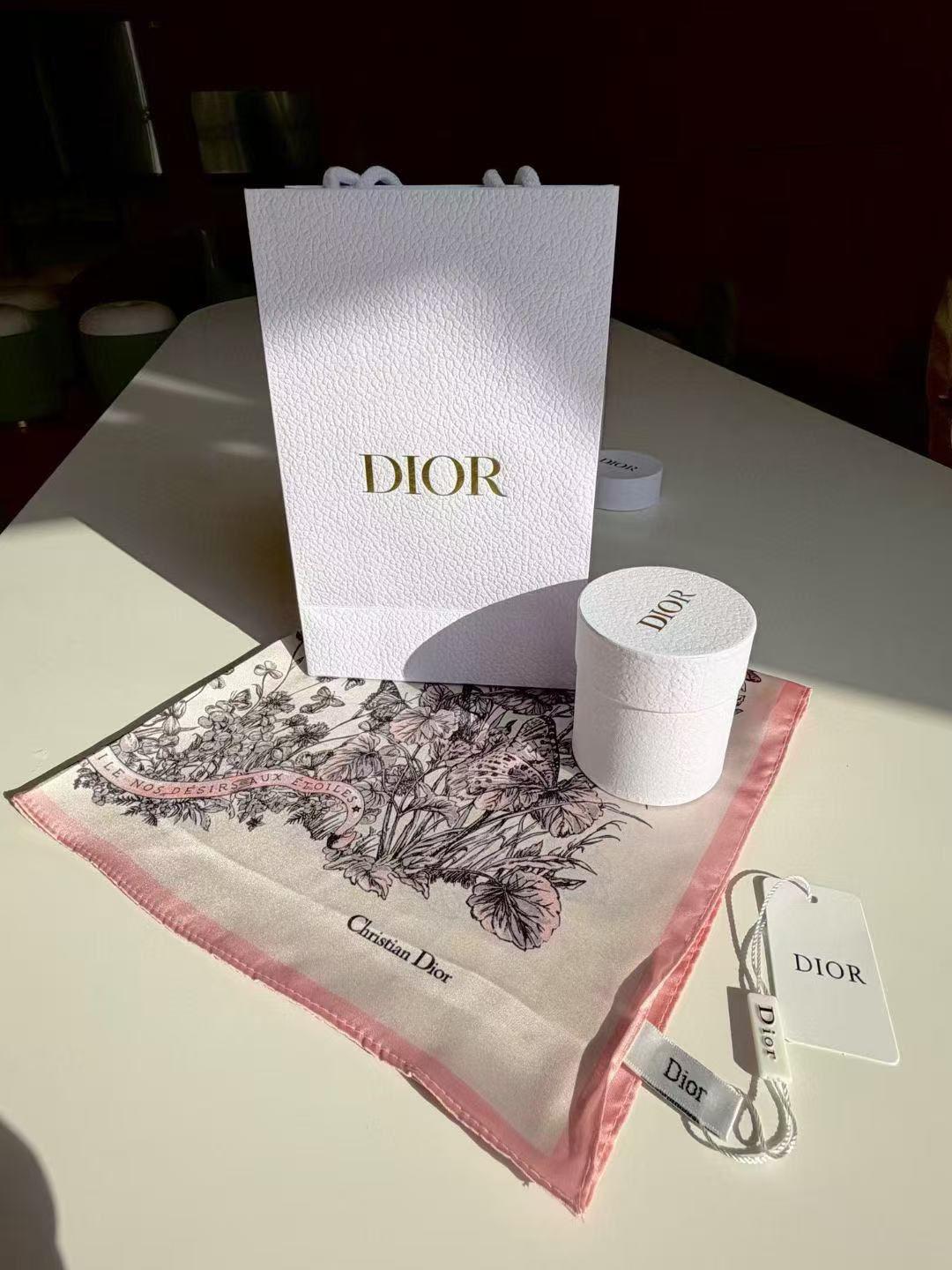 Christian Dior 秋冬蝴蝶限定絲巾